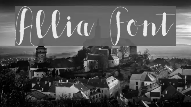 Allia Font examples