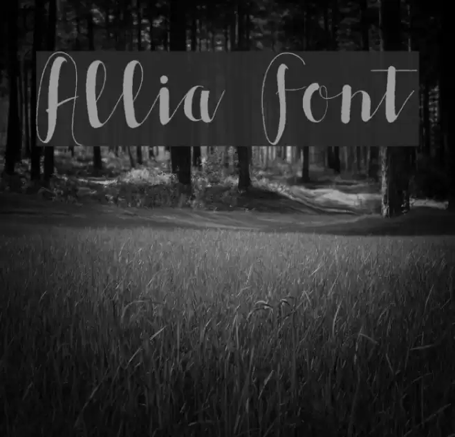 Allia Font examples