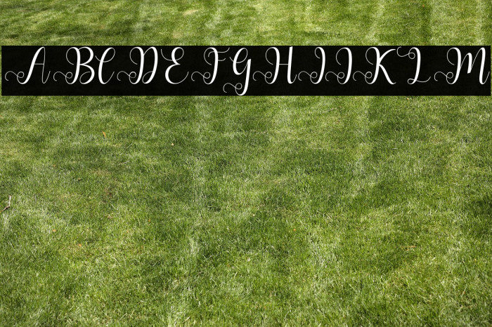 AllianaScript Example 1