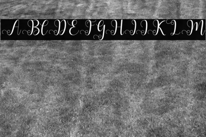 AllianaScript Font examples