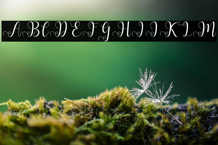 AllianaScript Example 1