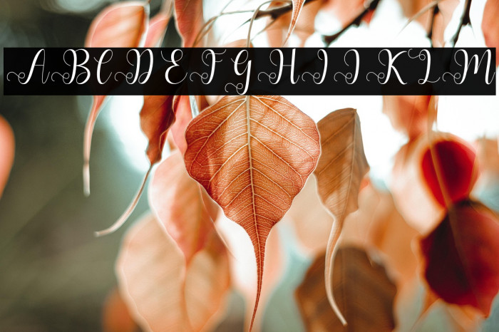 AllianaScript Example 3