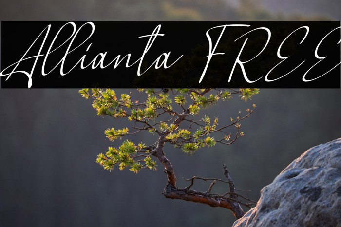 Allianta FREE Example 3