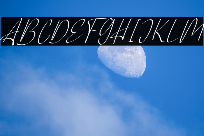 AlliantaFREE Example 1