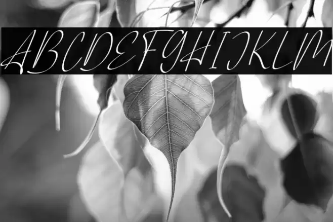 AlliantaFREE Font examples