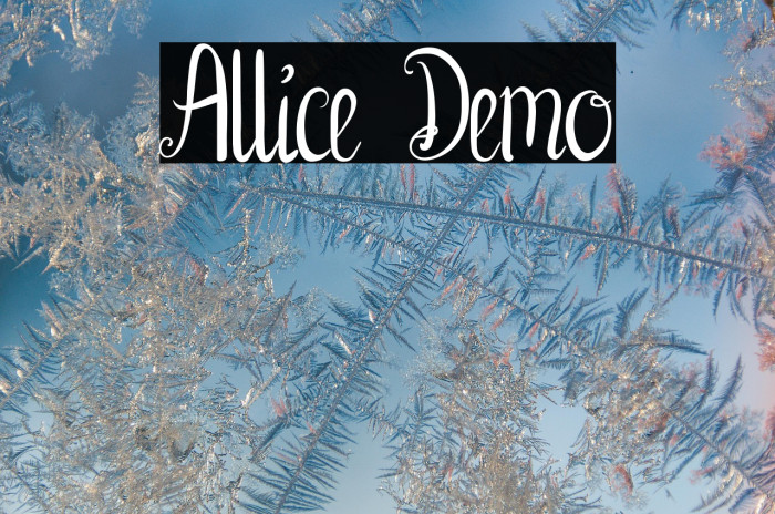 Allice Demo Example 1