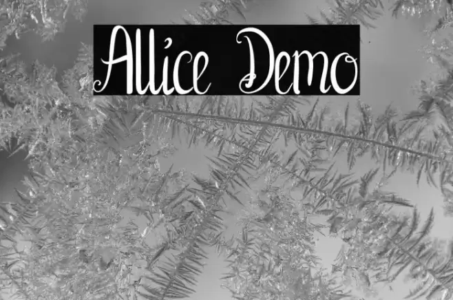 Allice Demo Font examples