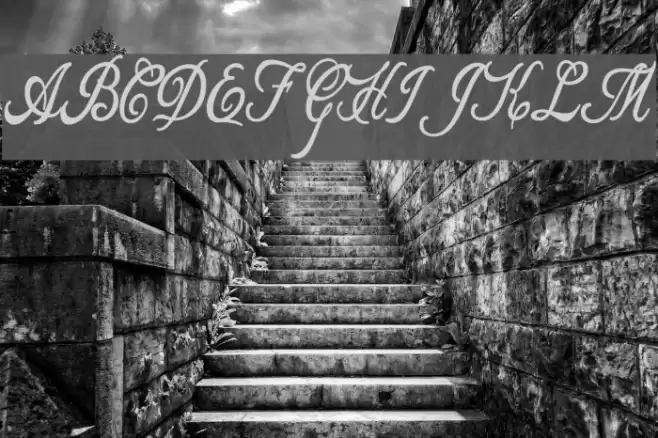 Allicia Personal Use   Cursive Font examples