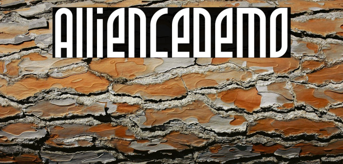 Allience-Demo Example 3