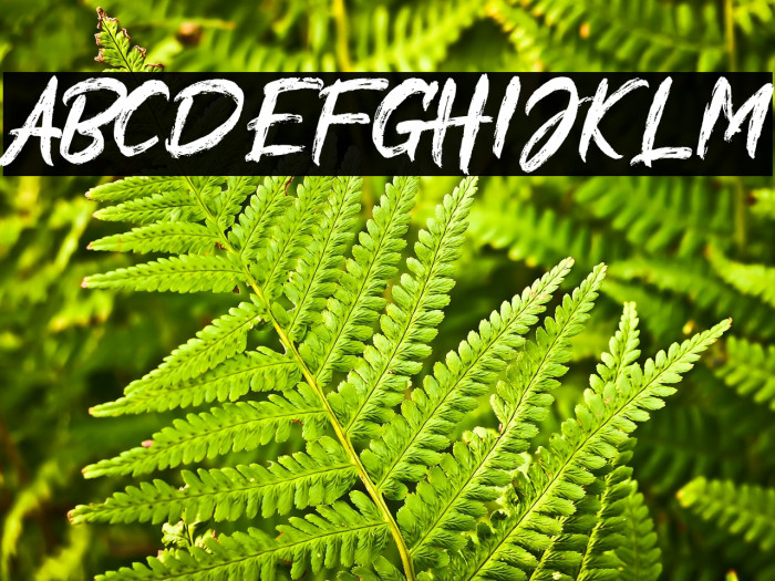 Alliens Personal Use Only Example 1