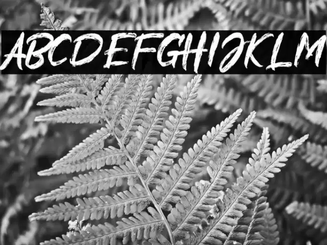 Alliens Personal Use Only Font examples