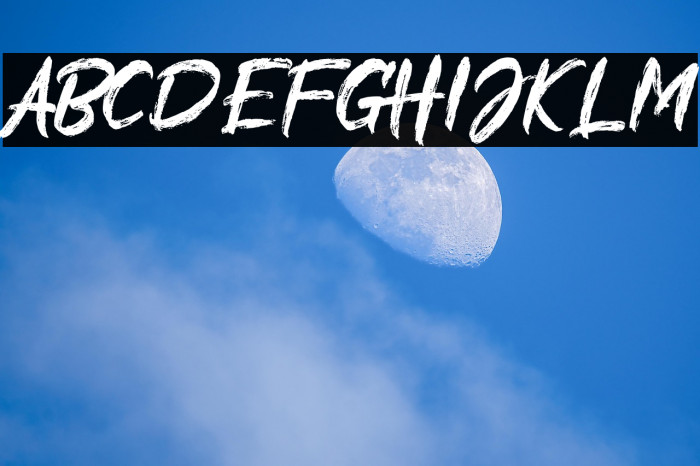 Alliens Personal Use Only Example 3