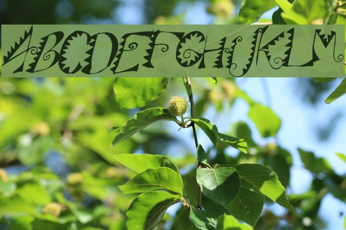 Alligator Puree Font examples