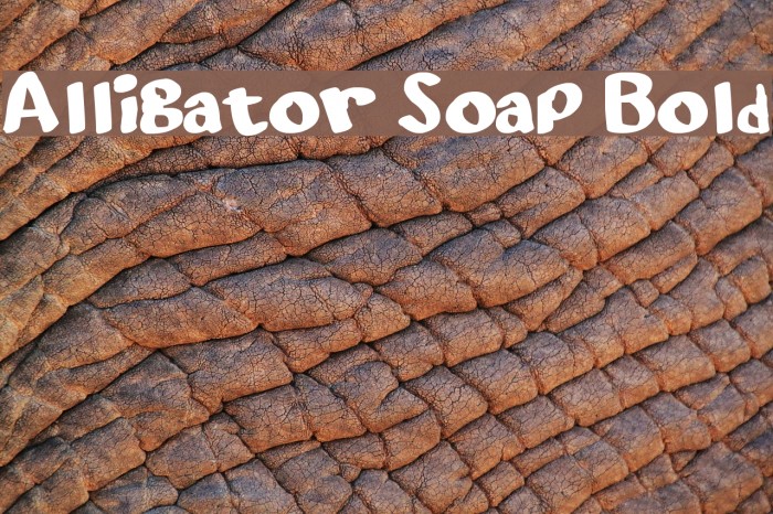 Alligator Soap Bold Font examples