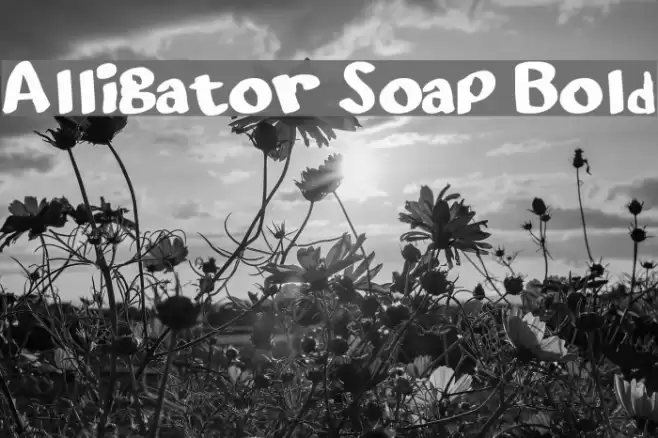 Alligator Soap Bold Font examples