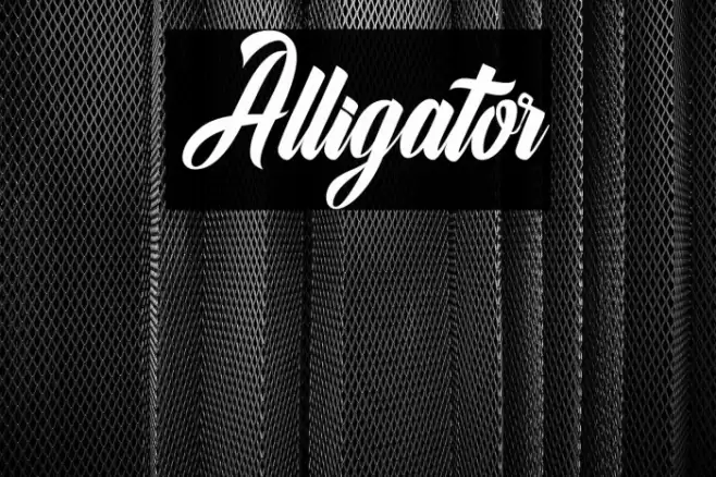 Alligator Font examples