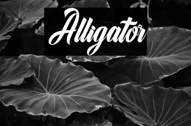 Alligator Font examples