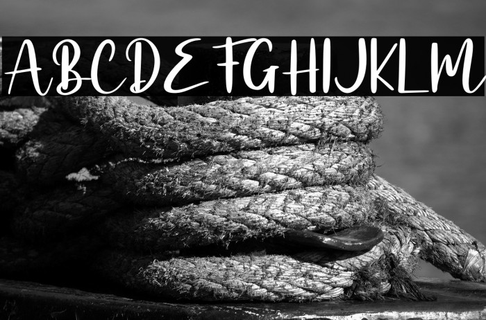 Alligattory - Personal Use Example 1