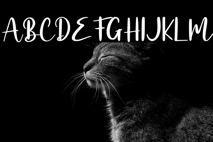 Alligattory - Personal Use Example 3