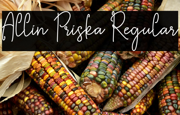 Allin Priska Regular Example 1