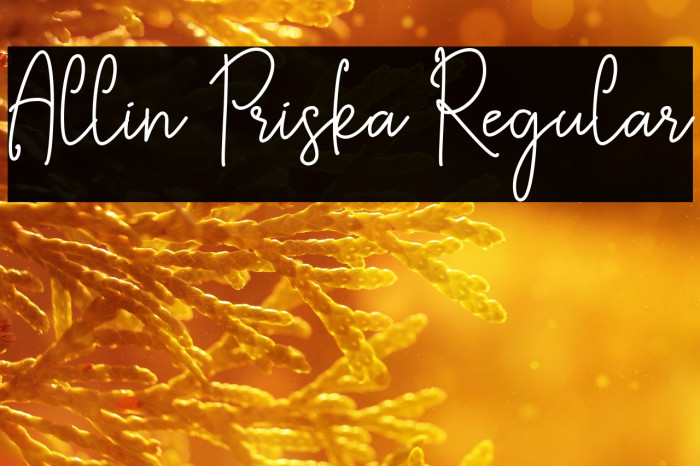 Allin Priska Regular Example 2