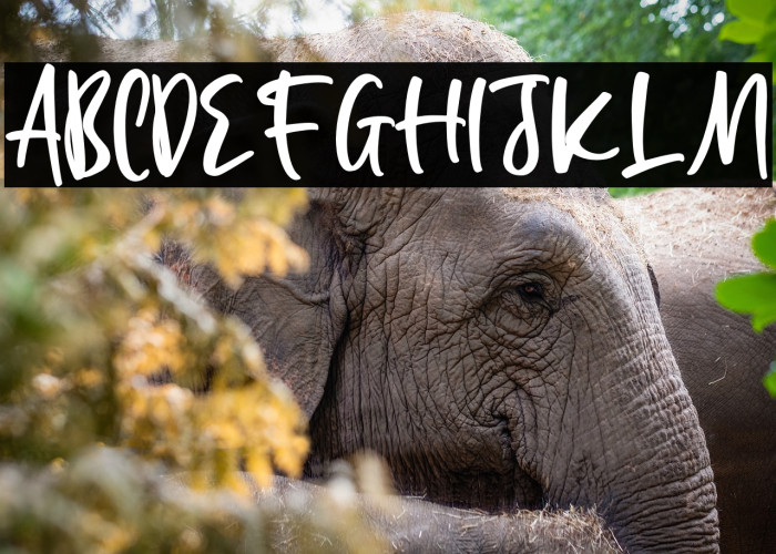 Allinda Light Example 2