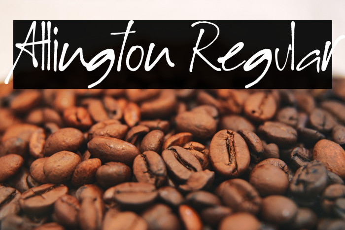 Allington Regular Example 1