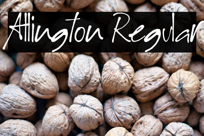 Allington Regular Example 3