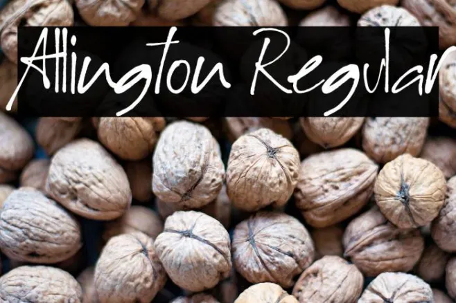 Allington Regular Example 3