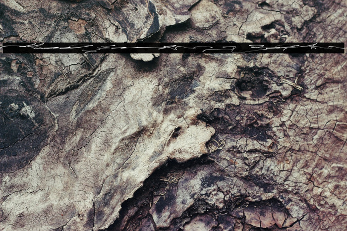 Allington Swash Regular Example 1