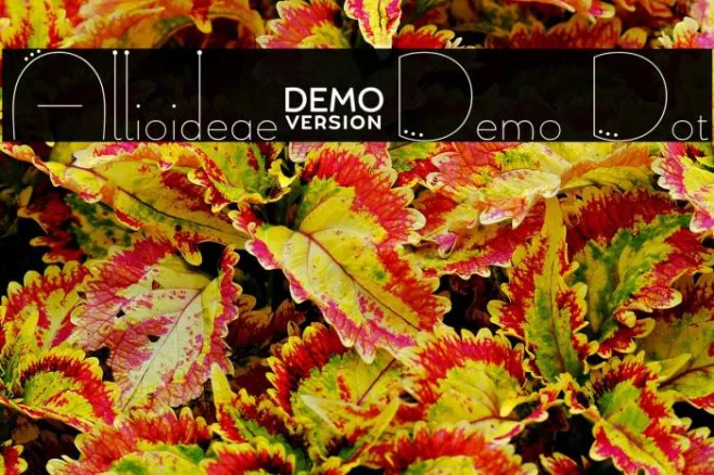 Allioideae-Demo Dot Example 3