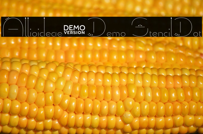 Allioideae-Demo StencilDot Example 2