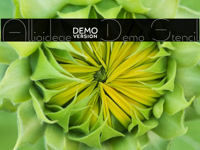 Allioideae-Demo Stencil Example 1