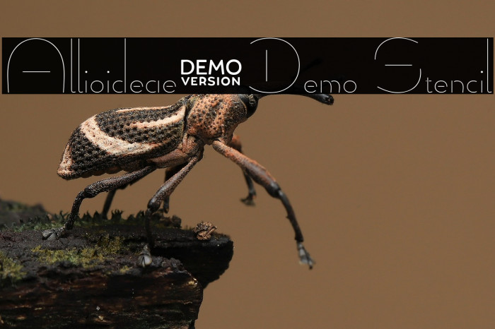 Allioideae-Demo Stencil Example 3