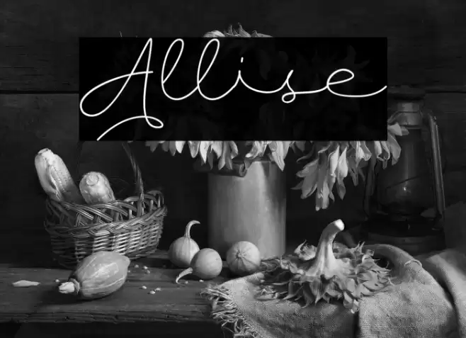 Allise Font examples