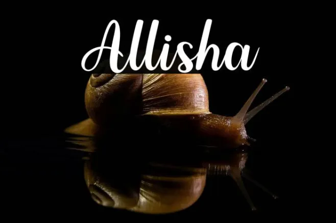 Allisha Example 1