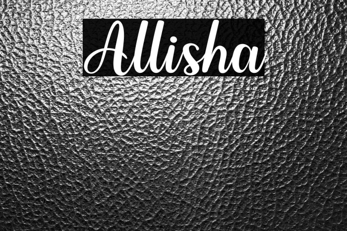 Allisha Example 2
