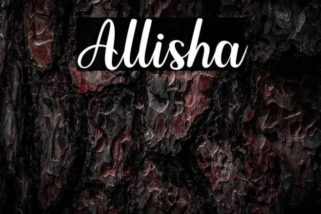 Allisha Example 3
