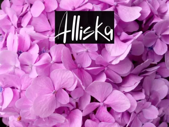 Alliska Example 1