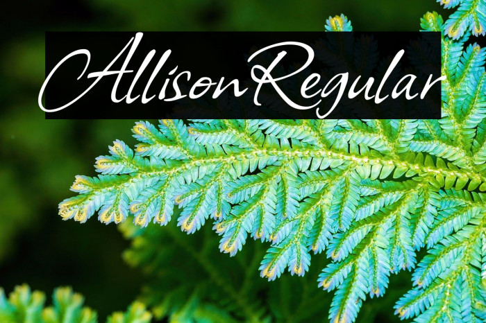 Allison Regular Example 1