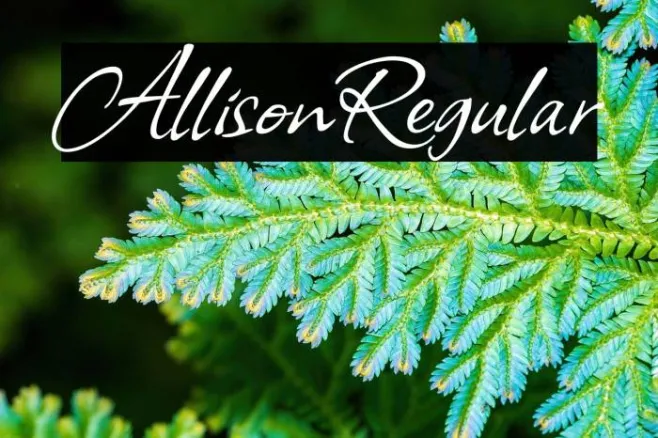 Allison Regular Example 1
