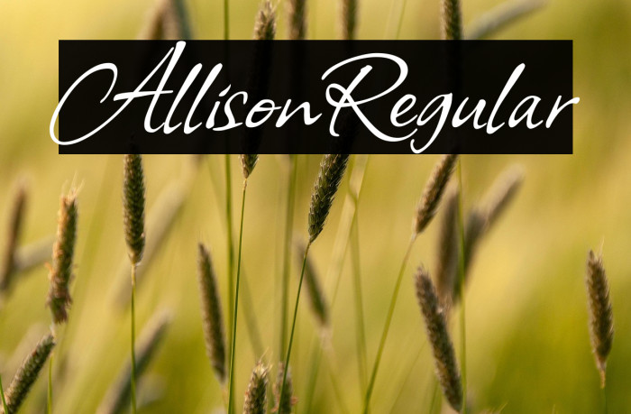 Allison Regular Example 2