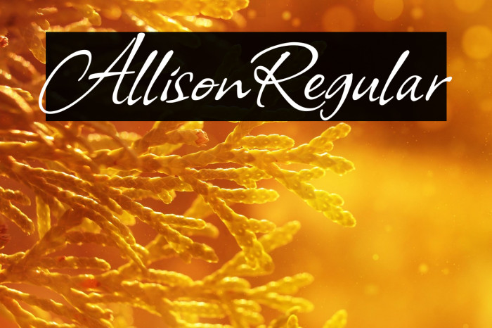 Allison Regular Example 3