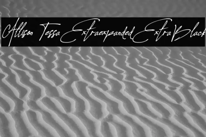 Allison Tessa Extra-expanded ExtraBlack Font examples
