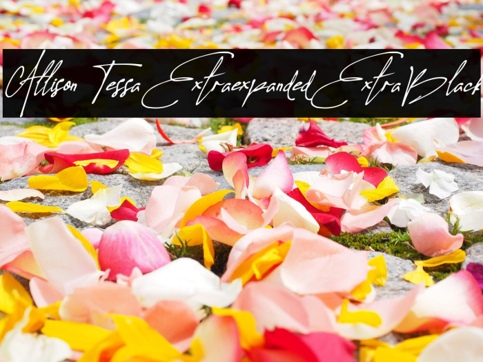 Allison Tessa Extra-expanded ExtraBlack Example 2