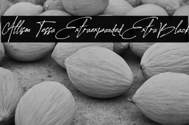Allison Tessa Extra-expanded ExtraBlack Font examples