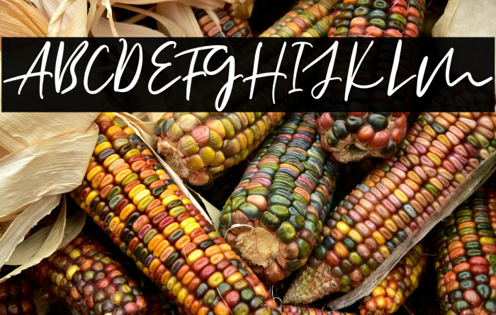 AllisonStyleScriptDEMO Example 2