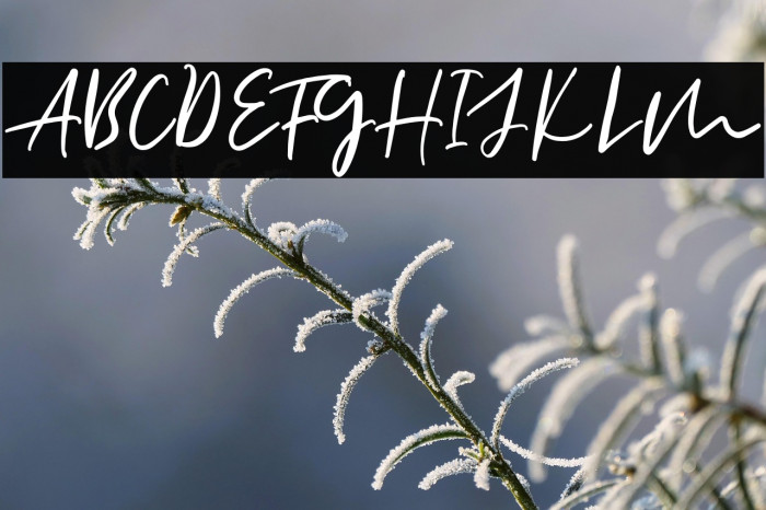 AllisonStyleScriptDEMO Example 3