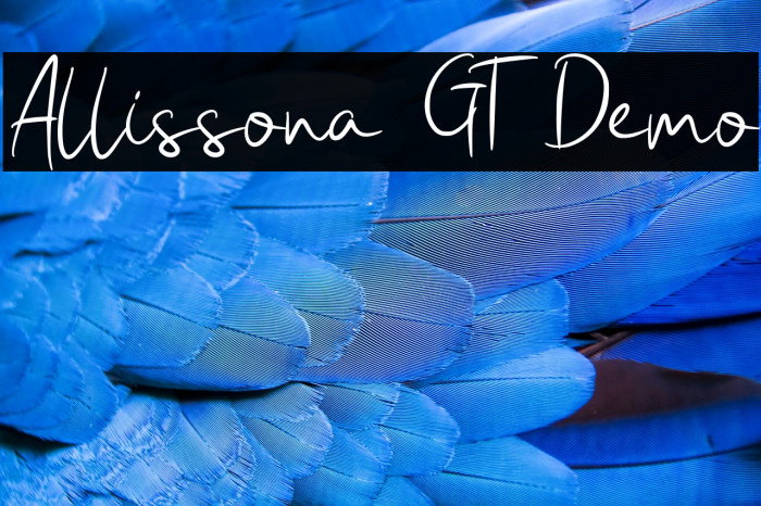 Allissona GT Demo Example 1