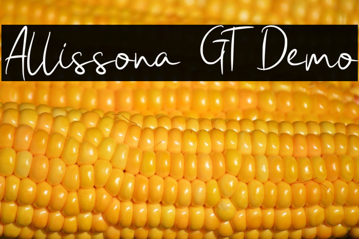 Allissona GT Demo Example 3